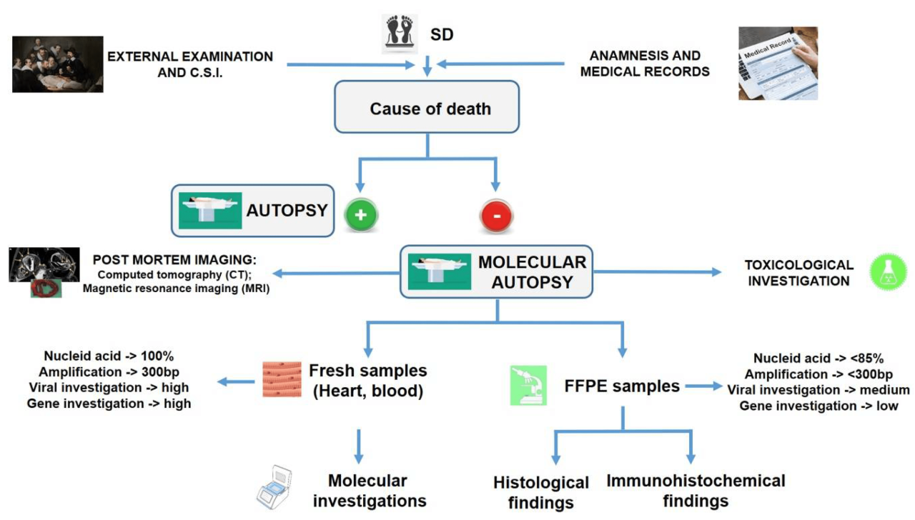 Death sudden risk factors causes prevention medicine